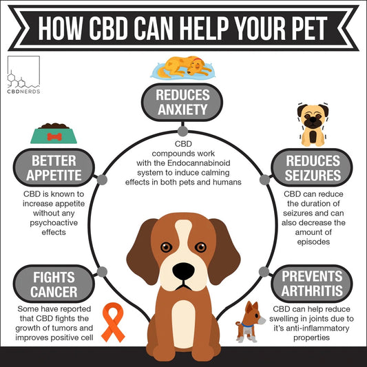 CBD Pet Treats